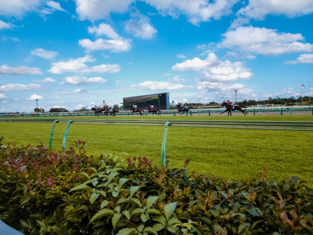 サラブレッド速さ